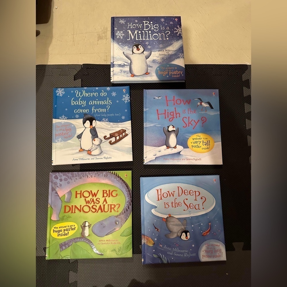 Usborne books: “How” series